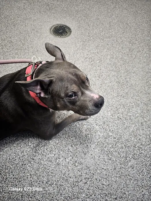 Tail-End Vetcare Picture 6