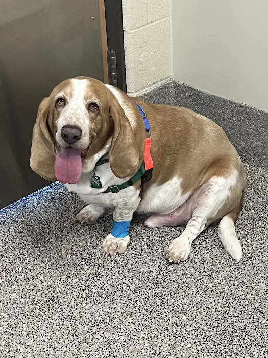 Tail-End Vetcare Picture 3