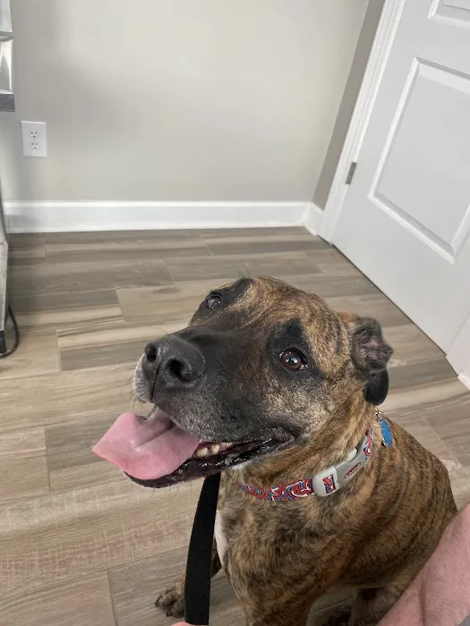 Derby City’s Crossroads Animal Hospital Picture 4