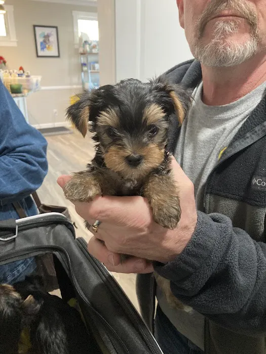Derby City’s Crossroads Animal Hospital Picture 5