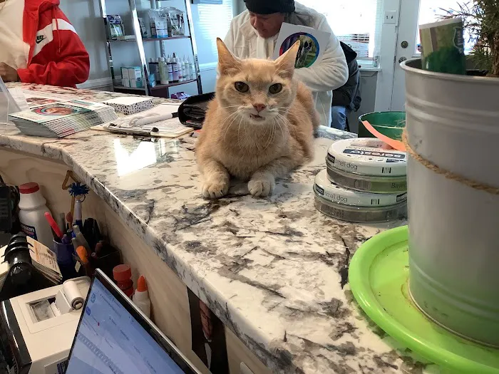 Derby City’s Crossroads Animal Hospital Picture 9