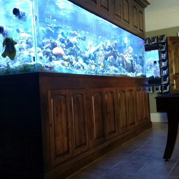 Aquarium Guy LLC Picture 10