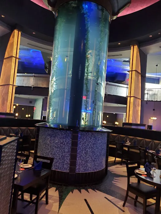 Aquarium Guy LLC Picture 6