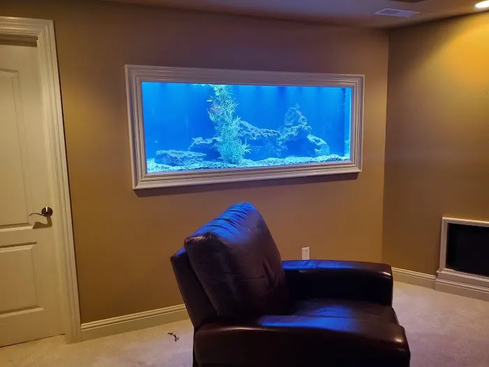 Aquarium Guy LLC Picture 2
