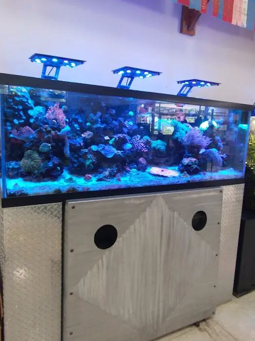 Aquarium Guy LLC Picture 7