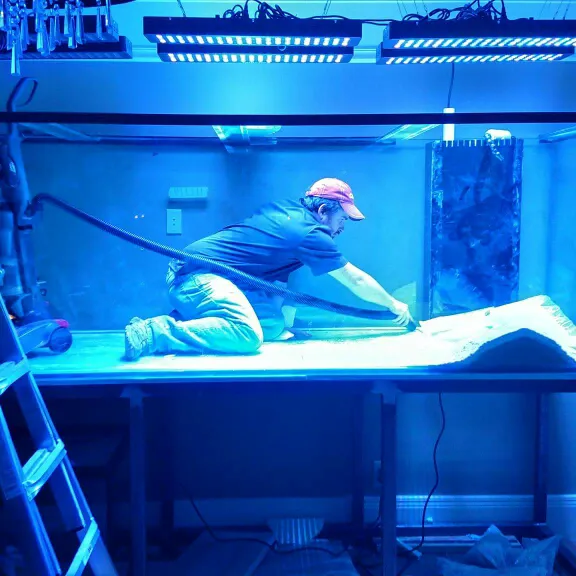 Aquarium Guy LLC Picture 9