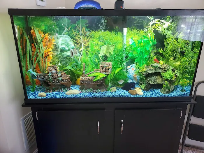 Aquarium Guy LLC Picture 5
