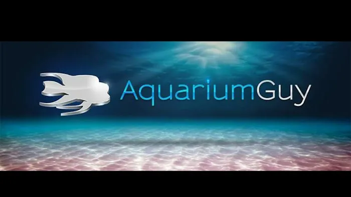 Aquarium Guy LLC Picture 1
