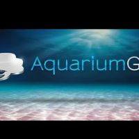 Aquarium Guy LLC ico