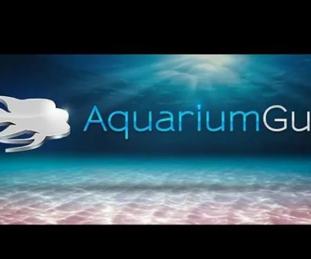 Aquarium Guy LLC