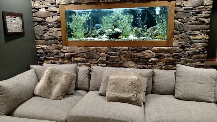 Aquarium Guy LLC Picture 4