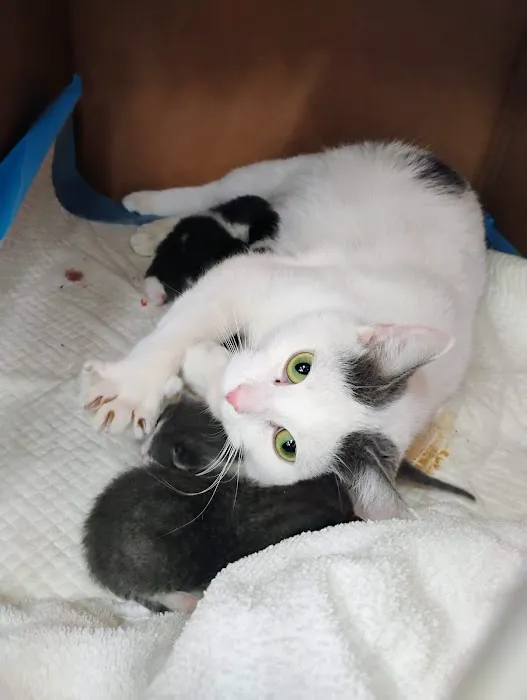 Audubon Animal Medical Center Picture 9