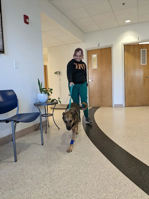Metropolitan Veterinary Specialists and Emergency Service Picture 9