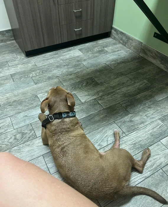 Hopewell Animal Hospital Picture 10