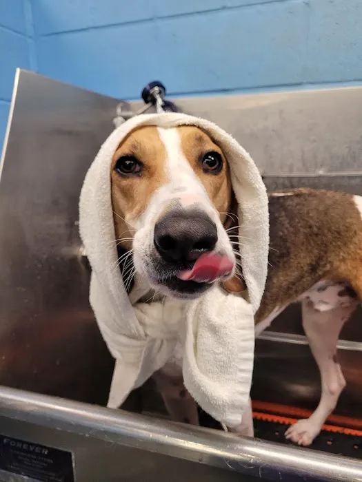Hopewell Animal Hospital Picture 2