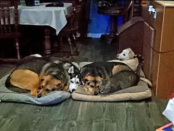 Hopewell Animal Hospital Picture 3