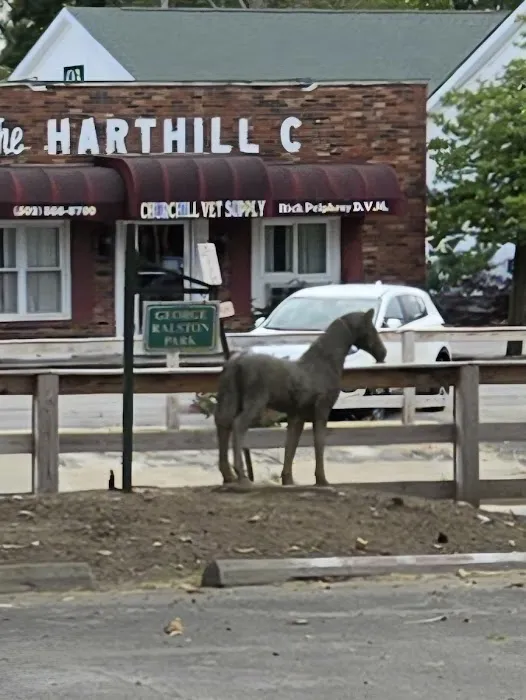 Churchill Veterinary Supply Co Picture 7