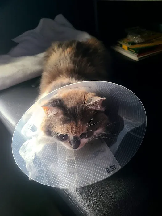 Ridgeview Animal Clinic Picture 8