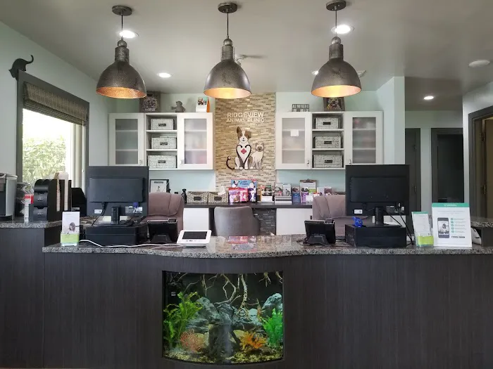 Ridgeview Animal Clinic Picture 10