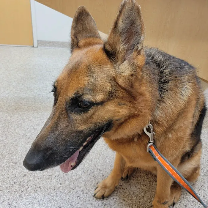 Hillside Animal Clinic Picture 8