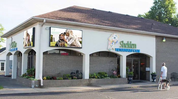 VCA Shelden Animal Hospital Picture 9