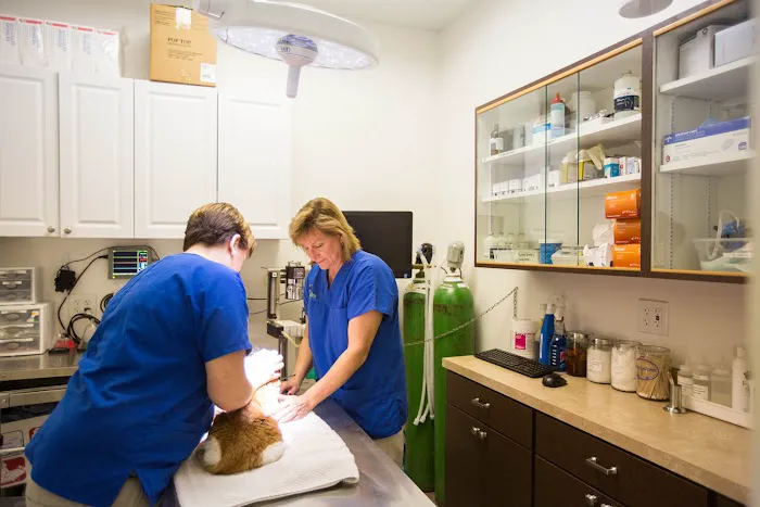 VCA Shelden Animal Hospital Picture 2