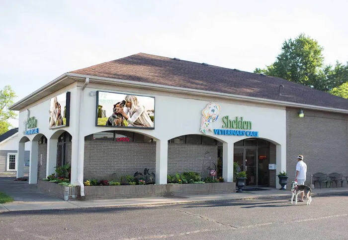 VCA Shelden Animal Hospital Picture 10