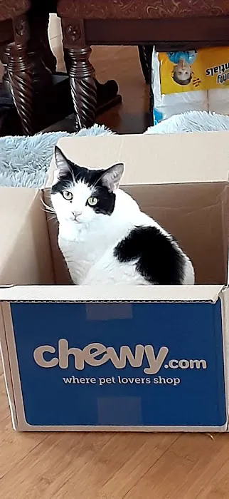 Chewy Pharmacy Picture 1