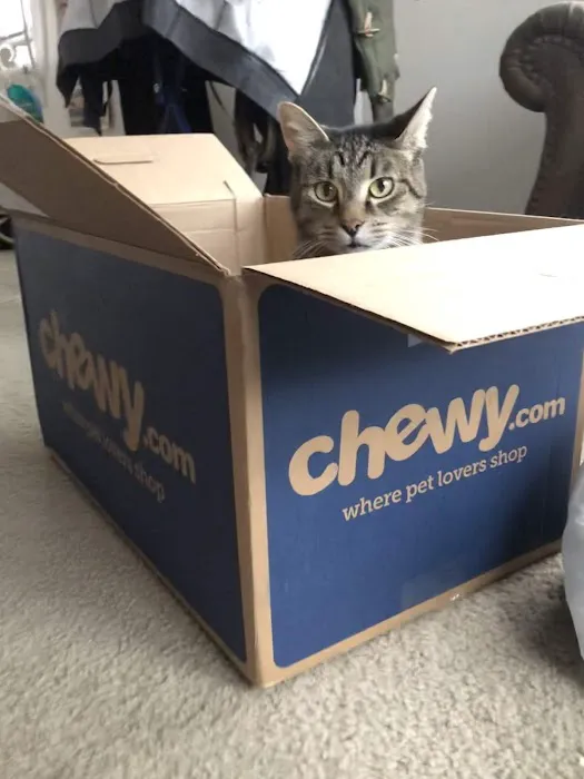 Chewy Pharmacy Picture 5