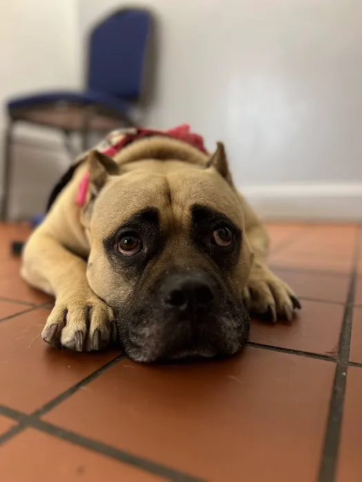 Preston Animal Hospital Picture 2