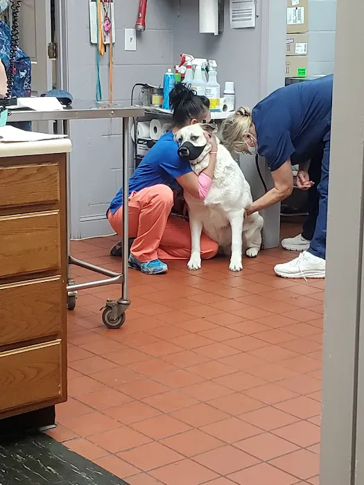Preston Animal Hospital Picture 7