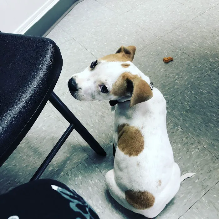 Preston Animal Hospital Picture 6