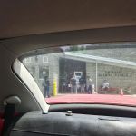 Shively Animal Clinic & Hospital: Cohn Rachel DVM