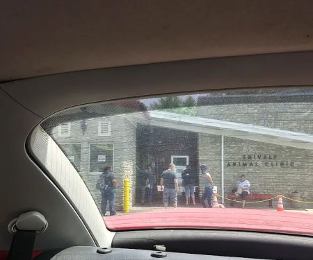Shively Animal Clinic & Hospital: Cohn Rachel DVM