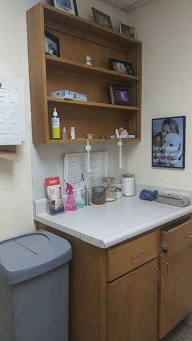 Shively Animal Clinic & Hospital: Cohn Rachel DVM Picture 5