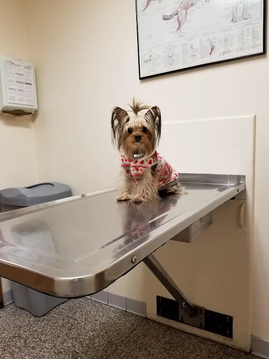 Shively Animal Clinic & Hospital Picture 1