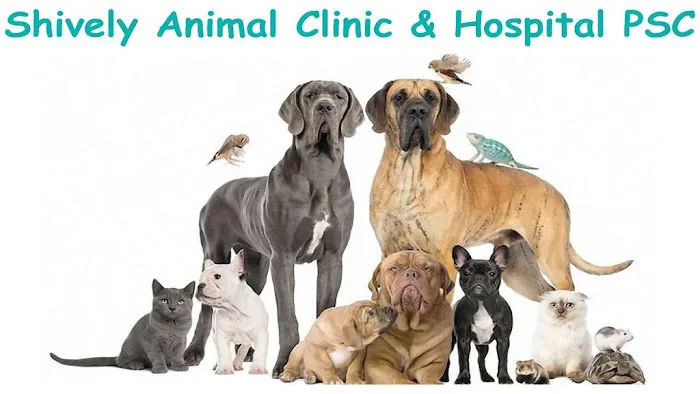 Shively Animal Clinic & Hospital Picture 10