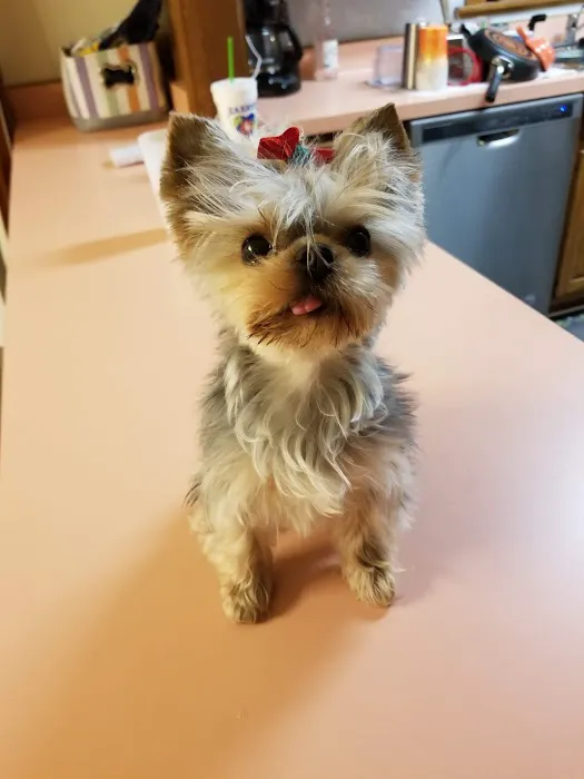 Edwardsville Animal Clinic Picture 4