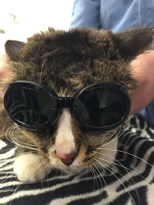 Edwardsville Animal Clinic Picture 1