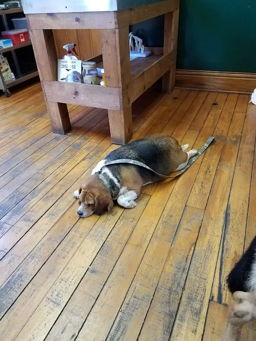 Georgetown Veterinary Clinic Picture 10
