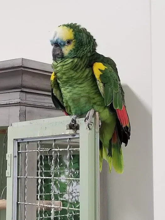 Georgetown Veterinary Clinic Picture 8