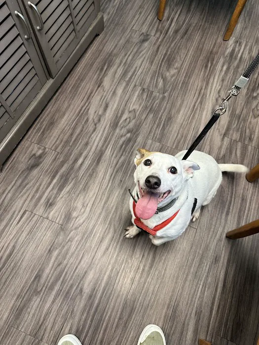 Unleashed Veterinary Care Picture 8