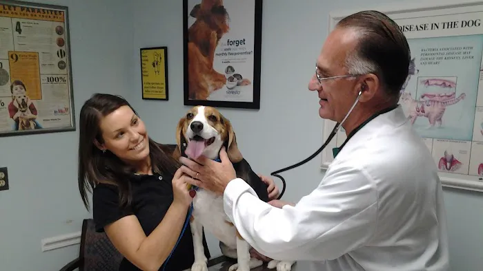 Countryside Animal Hospital: La Grange Veterinarian Picture 5