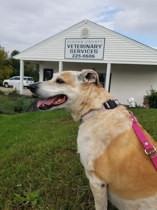 Oldham County Veterinary Services, LLC Picture 3