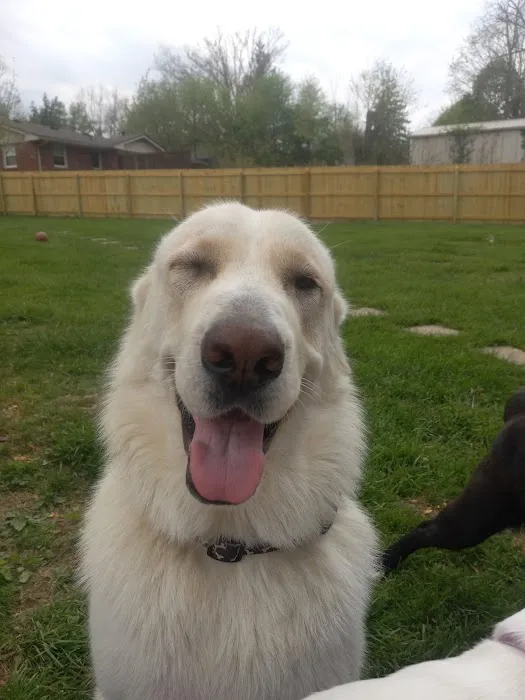 Oldham County Veterinary Services, LLC Picture 8