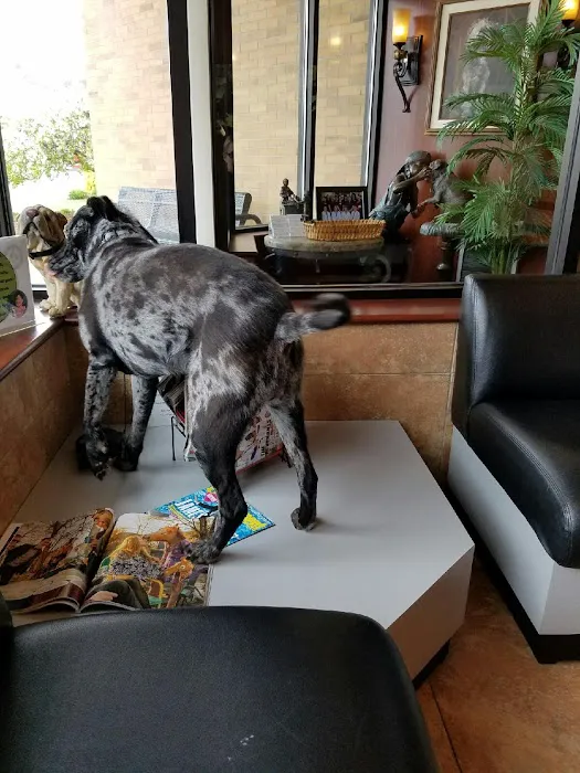 Jefferson Animal Hospital Fern Creek Picture 1