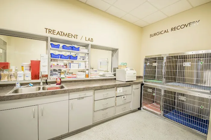 Jefferson Animal Hospital Fern Creek Picture 5