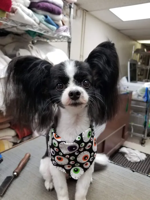 Fegenbush Lane Animal Clinic Picture 7