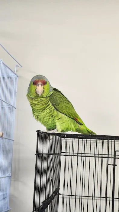 Soria Petshop Picture 9