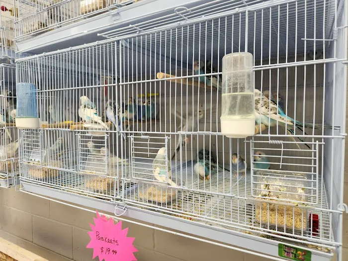 Soria Petshop Picture 8